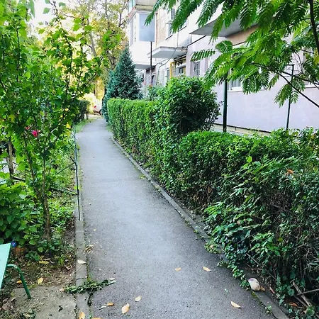 Business And Travel Apartment