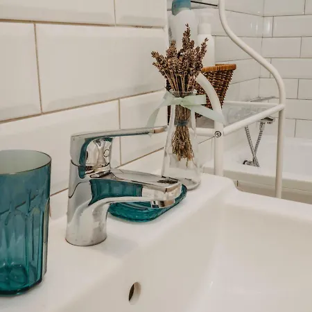 Apartament Business And Travel Timişoara