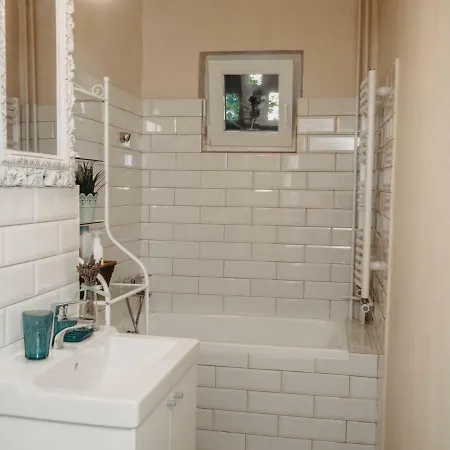 Business And Travel * Тімішоара