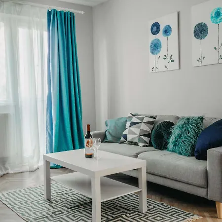 Business And Travel Apartment Timisoara