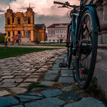Business And Travel * Timisoara