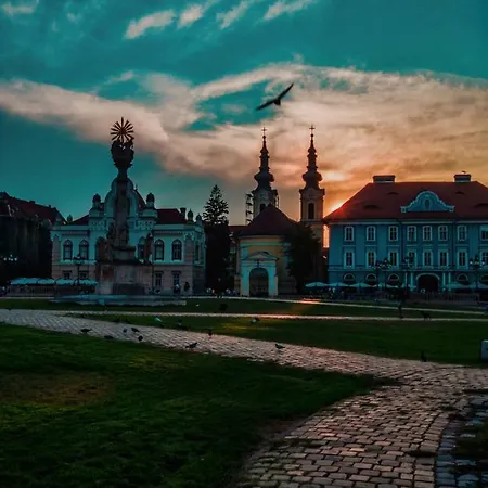 Апартаменти Business And Travel Тімішоара