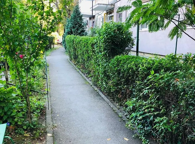 Business And Travel Apartment