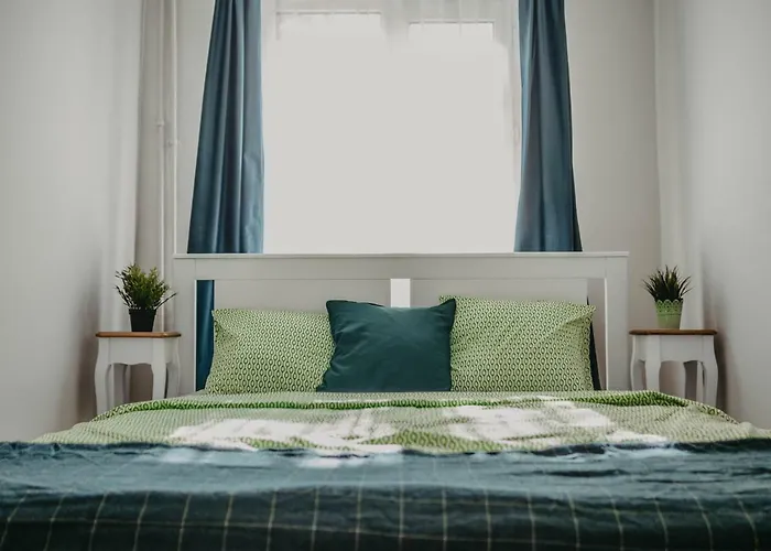 Business And Travel Timişoara