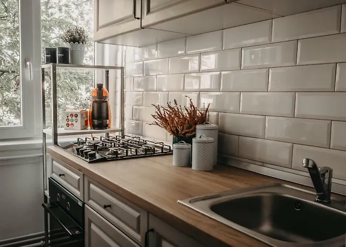 Apartment Business And Travel Timişoara