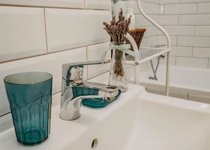 Apartment Business And Travel Timişoara