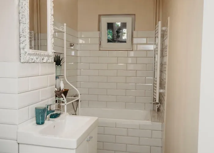 Business And Travel * Timişoara