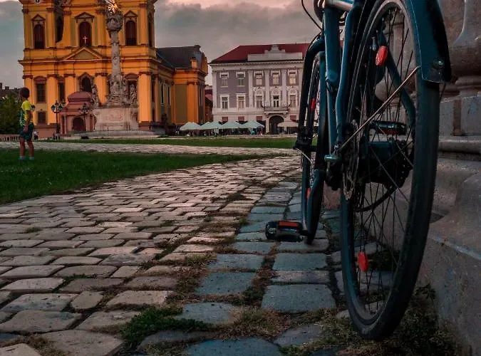 Business And Travel * Timişoara