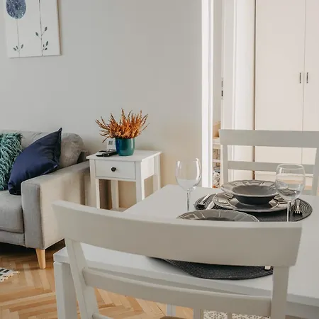 公寓 Business And Travel 蒂米什瓦拉