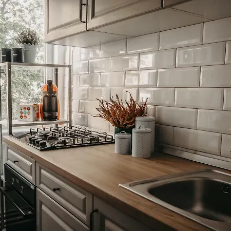 公寓 Business And Travel 蒂米什瓦拉