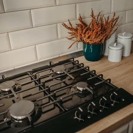 Business And Travel 公寓 蒂米什瓦拉