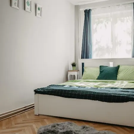 Business And Travel 蒂米什瓦拉