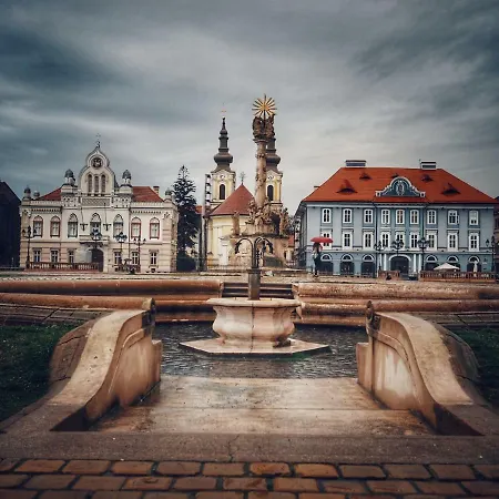 公寓 Business And Travel 蒂米什瓦拉