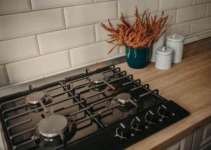 Business And Travel Lägenhet Timişoara