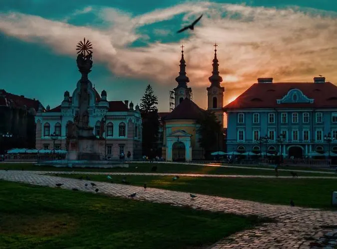 Lägenhet Business And Travel Timişoara